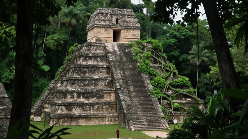 Abandono de ciudades mayas en la selva