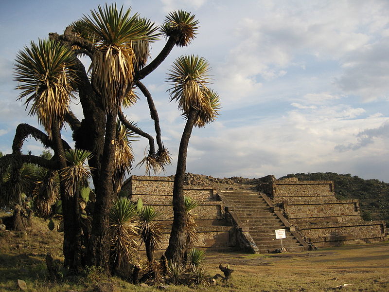 cerro de xihuingo un recorrido por la historia de hidalgo