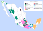 conoces 20 palabras en chontal de oaxaca que debes descubrir