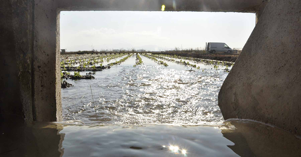 Cuál es la historia e importancia de la Acequia Real en el riego 1 cual es la historia e importancia de la acequia real en el riego
