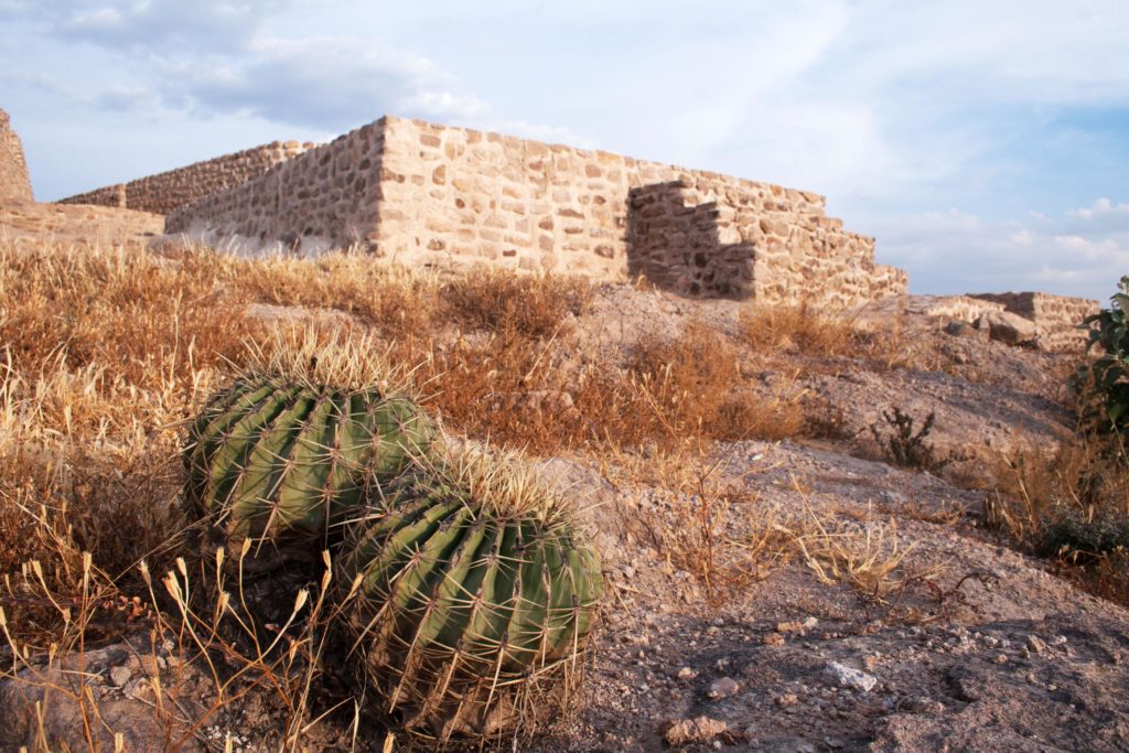 cuales son las 5 zonas arqueologicas en guanajuato de interes cultural