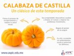 cuales son los beneficios y usos culinarios de la calabaza de castilla