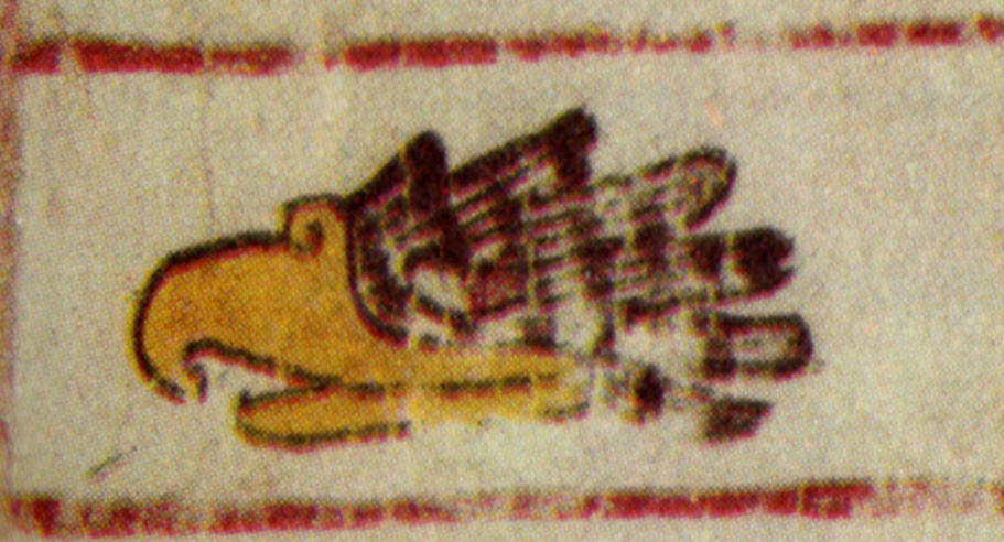 Cuauhtli: Significado y simbolismo del cuautli sagrado 1 cuauhtli significado y simbolismo del cuautli sagrado