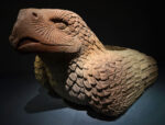 cuauhxicalli el recipiente del aguila en la cultura mexica