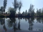lago xaltocan descubre su belleza y biodiversidad unica