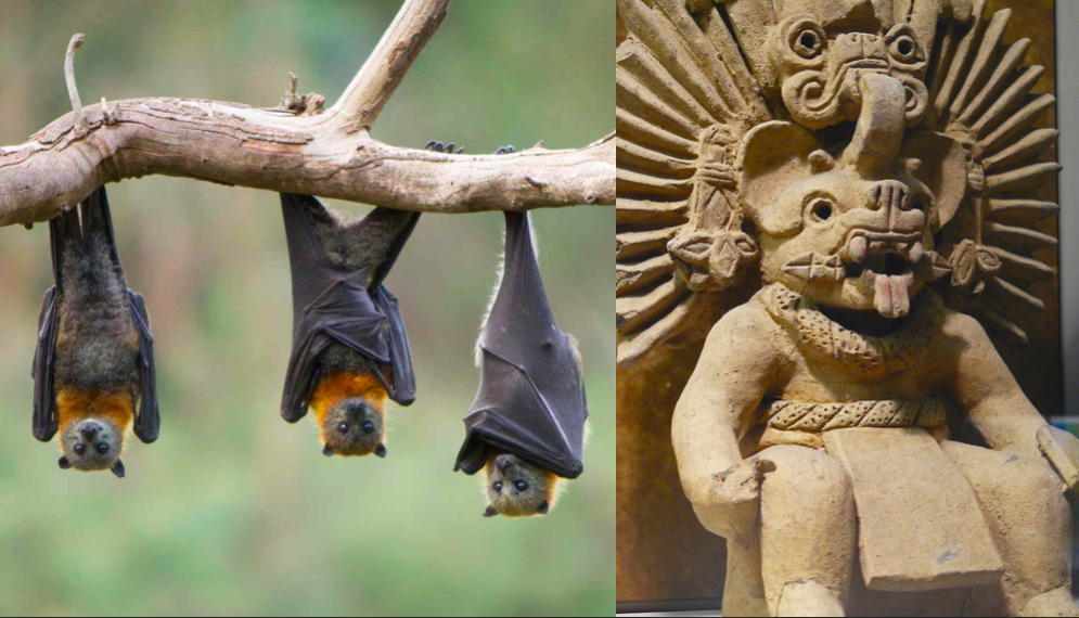 Murciélago en Náhuatl: El dios Murciélago en Mesoamérica 1 murcielago en nahuatl el dios murcielago en mesoamerica