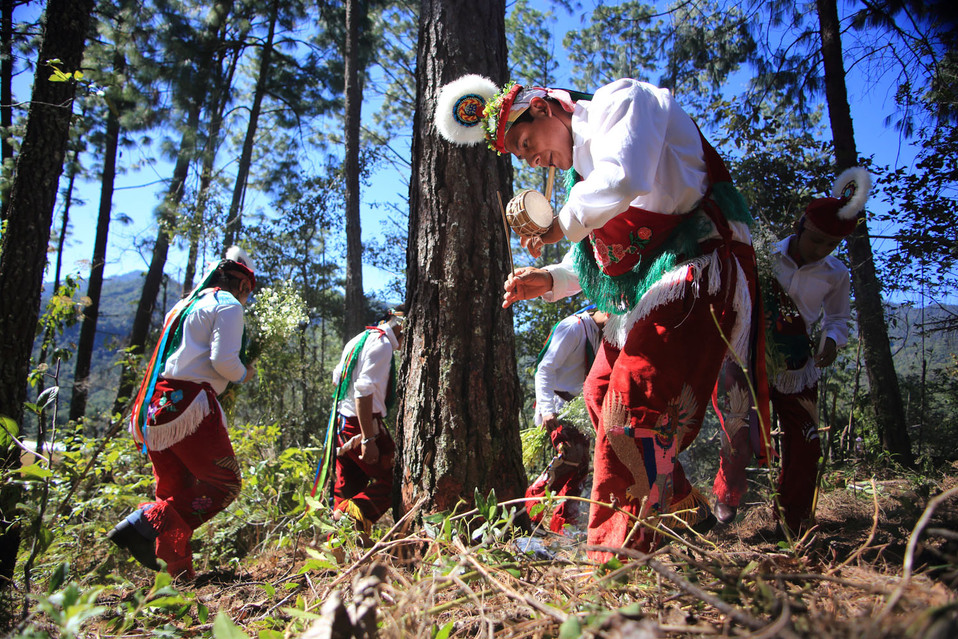 que es la danza de los voladores y su tradicion milenaria