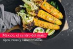 que ingredientes e instrumentos caracterizan la gastronomia mexica