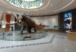 que ofrece el museo paleontologico de santa lucia quinametzin